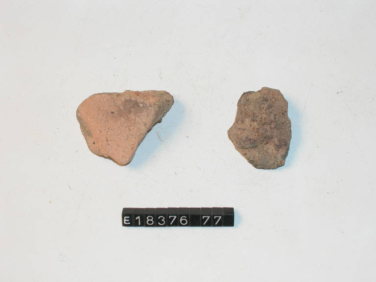 fondo piatto - Cultura di Golasecca (secc. V/ IV a.C.)