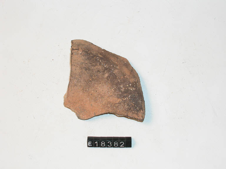 fondo piatto - Cultura di Golasecca (secc. V/ IV a.C.)