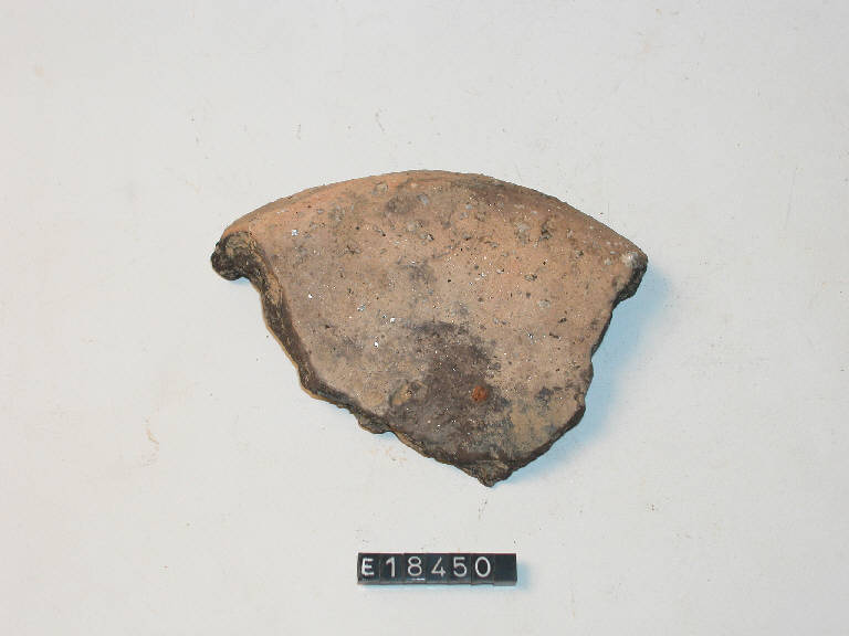 fondo piatto - Cultura di Golasecca (secc. V/ IV a.C.)