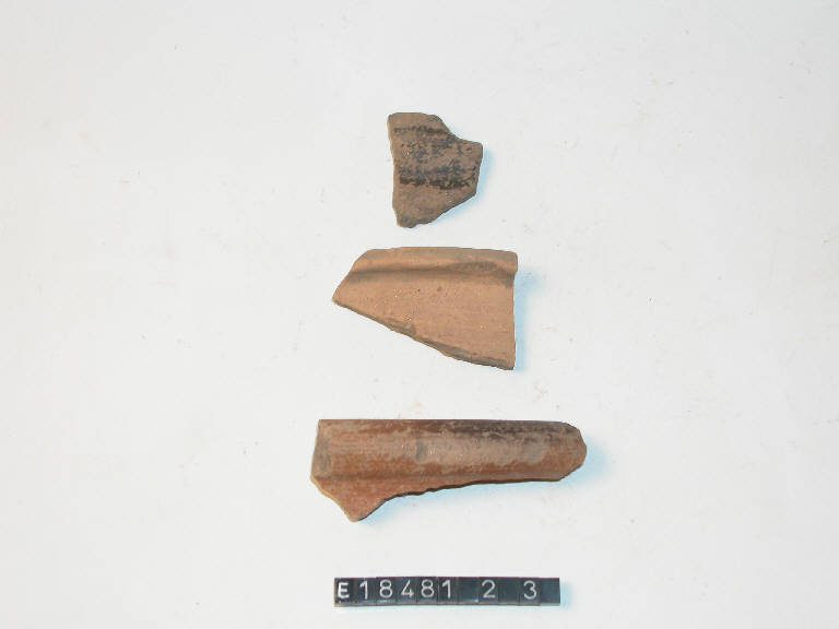 orlo - Cultura di Golasecca (secc. V/ IV a.C.)