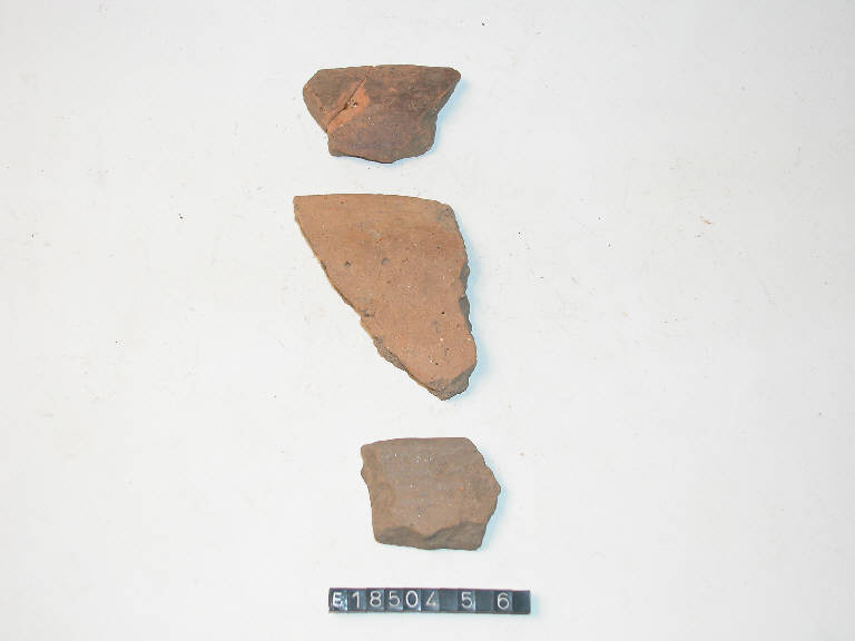 orlo - Cultura di Golasecca (secc. V/ IV a.C.)