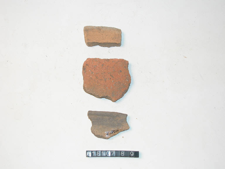 orlo - Cultura di Golasecca (secc. V/ IV a.C.)