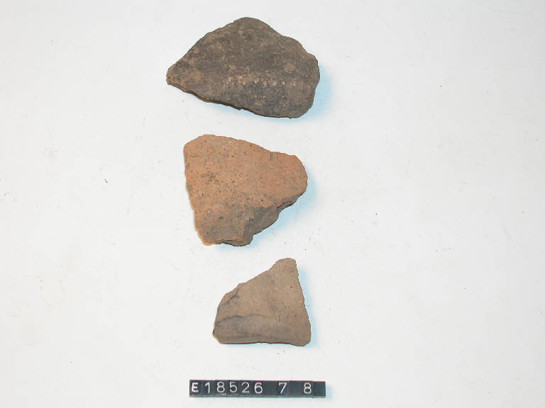 fondo piatto - Cultura di Golasecca (secc. V/ IV a.C.)