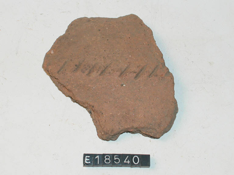 vaso - Cultura di Golasecca (secc. V/ IV a.C.)