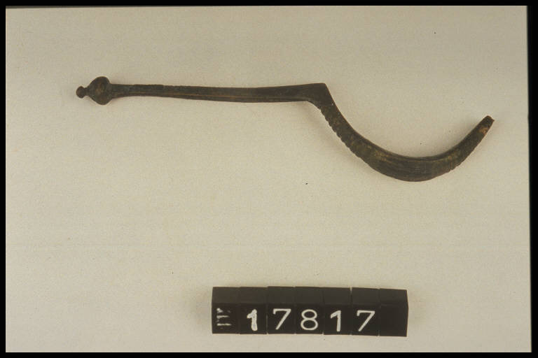 fibula a navicella - Cultura di Golasecca (secc. V/ IV a.C.)