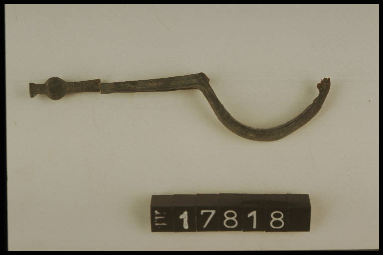 fibula a navicella - Cultura di Golasecca (secc. V/ IV a.C.)