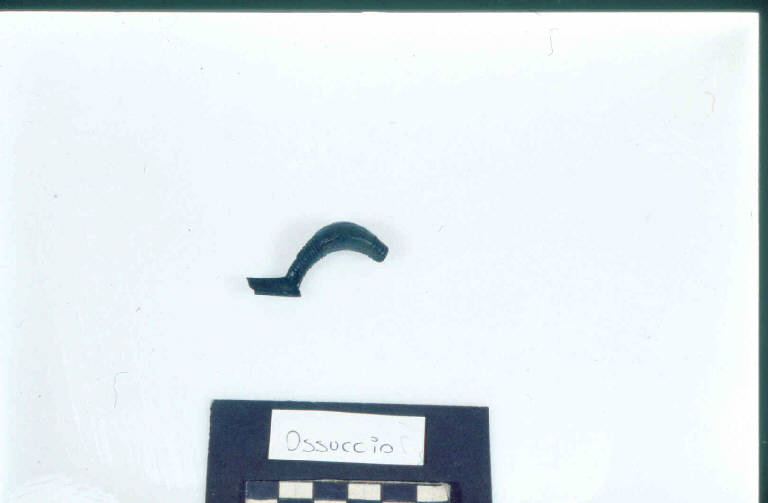 fibula a sanguisuga, DE MARINIS / tipo tardo-alpino var. B - Cultura di Golasecca (secc. V/ IV a.C.)