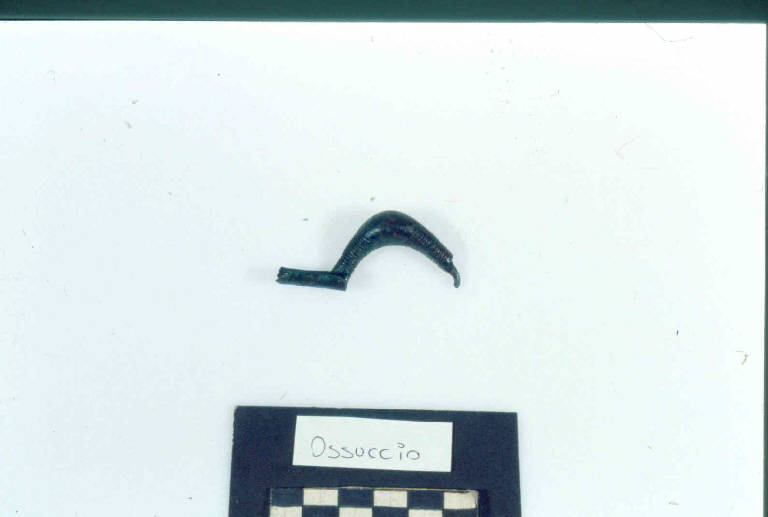 fibula a sanguisuga, DE MARINIS / tipo tardo-alpino var. B - Cultura di Golasecca (secc. V/ IV a.C.)