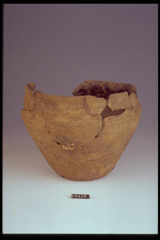 urna - cultura di Golasecca (sec. IX a.C.)