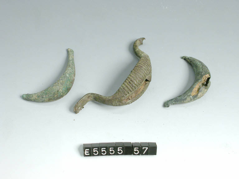 fibula a sanguisuga - cultura di Golasecca (secc. VI/ V a.C.)