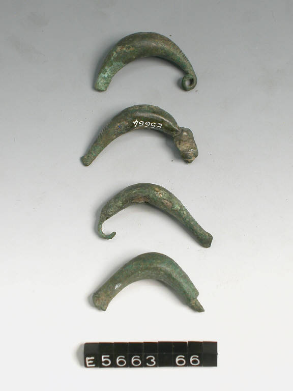 fibula a sanguisuga, DE MARINIS / tipo tardo-alpino - cultura di Golasecca (secc. V/ IV a.C.)