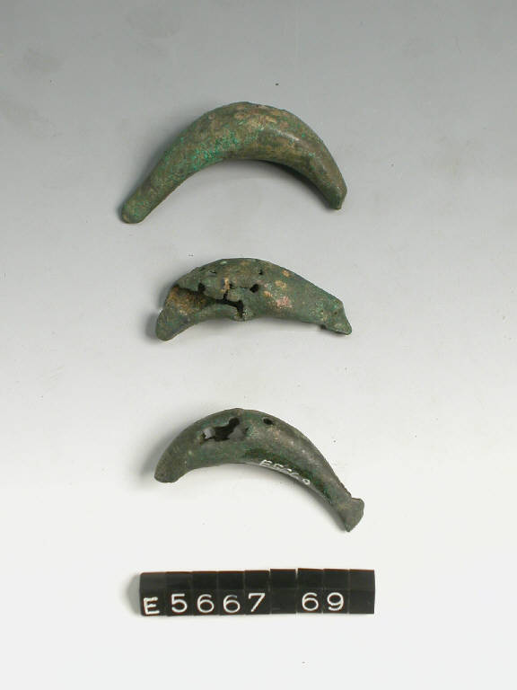 fibula a sanguisuga - cultura di Golasecca (fine/inizio secc. VI/ V a.C.)