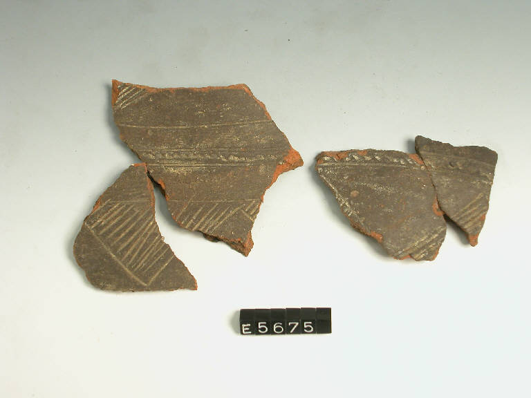 urna - cultura di Golasecca (sec. VII a.C.)