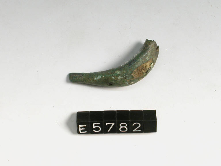 fibula a sanguisuga - cultura di Golasecca (secc. VI/ V a.C.)