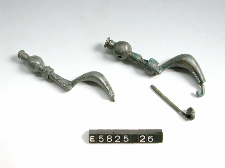 fibula a sanguisuga, DE MARINIS / tipo tardo-alpino - cultura di Golasecca (sec. V a.C.)