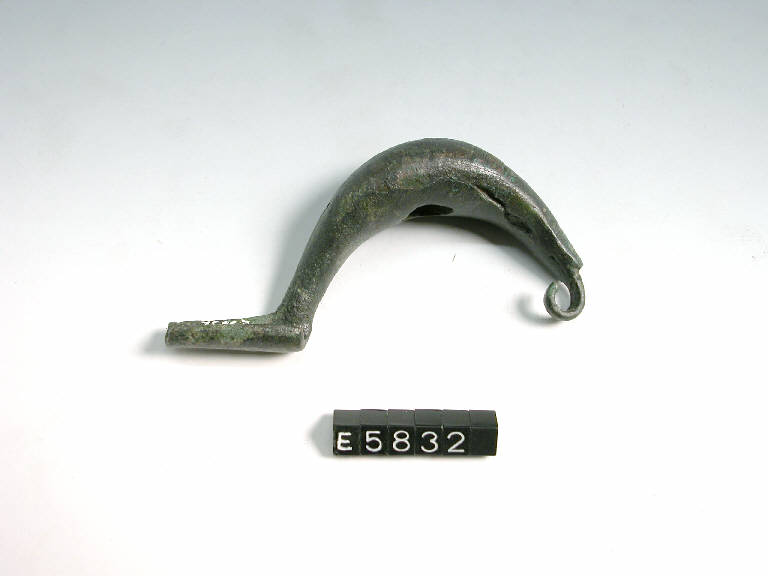 fibula a sanguisuga - cultura di Golasecca (sec. V a.C.)