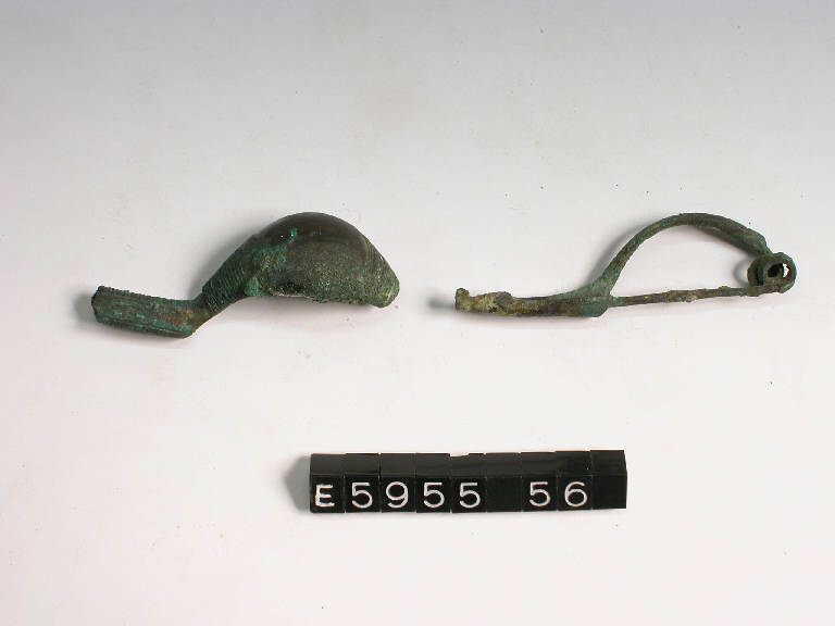 fibula a sanguisuga - cultura di Golasecca (secc. VI/ V a.C.)