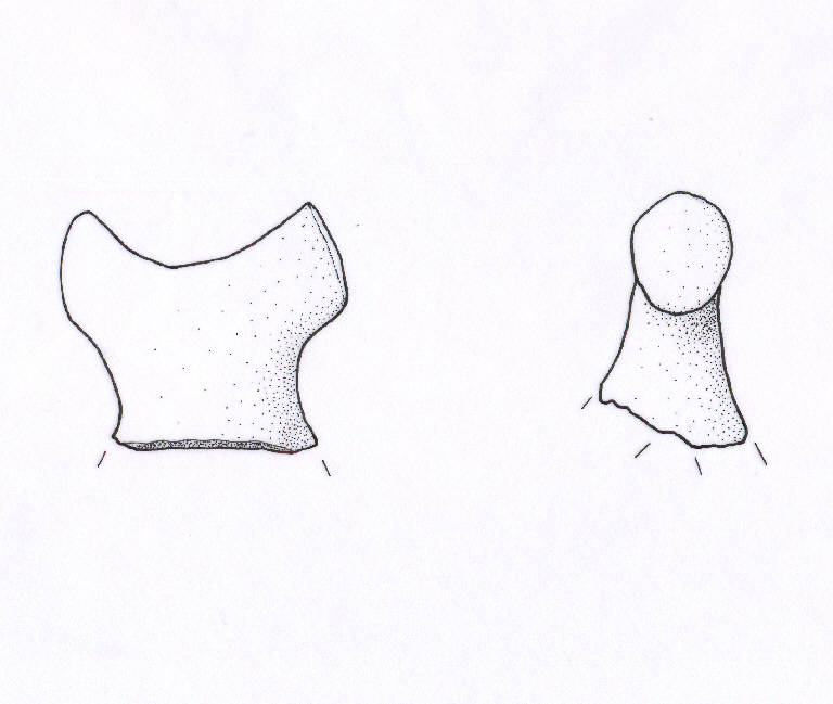 ansa a corna tronche (Bronzo Medio I)