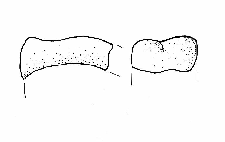 ansa a gomito (Bronzo Antico II)