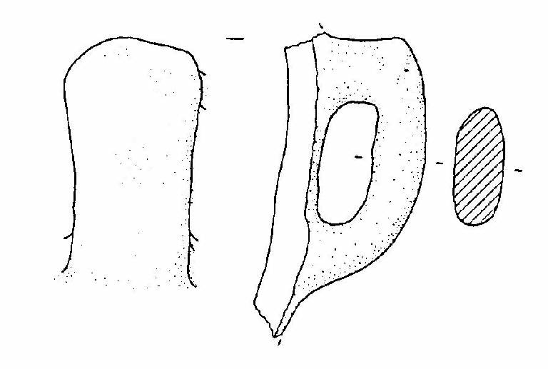 ansa a gomito (Bronzo Medio)