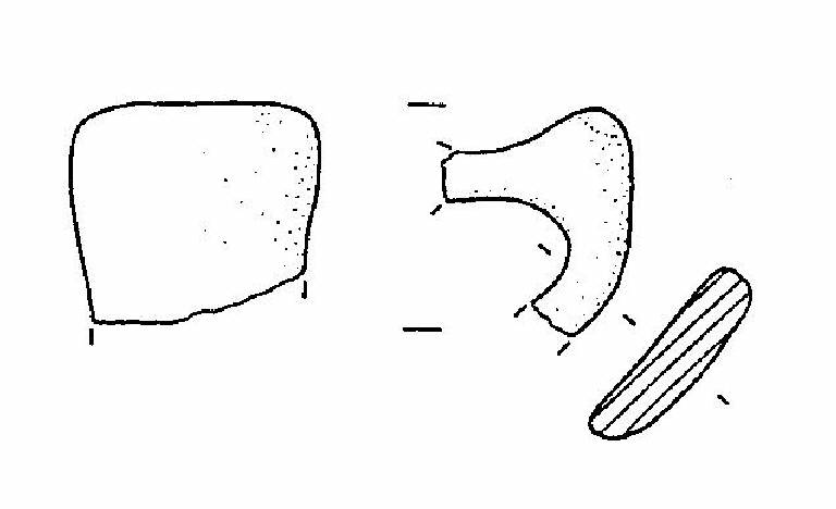 ansa a gomito (Bronzo Medio)
