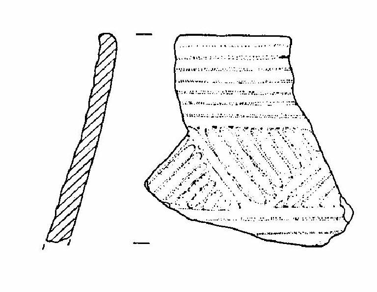 vaso biconico (Bronzo Medio)