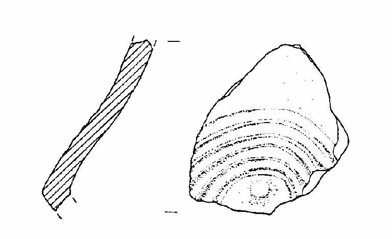 vaso biconico (Bronzo Medio)