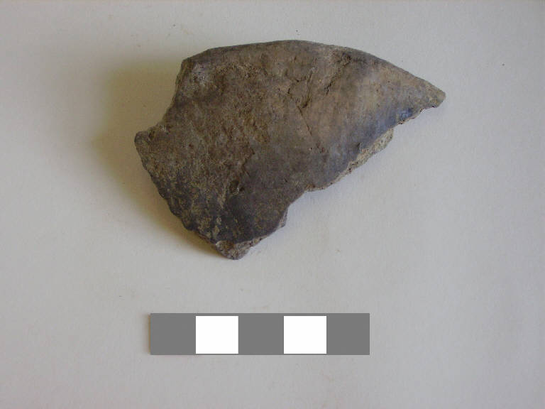 scodella/ forma parzialmente ricostruibile - ambito paleoveneto (sec. VIII a.C.)