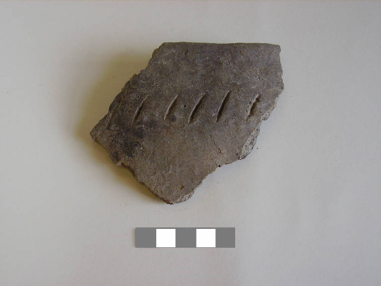 olla/ forma parzialmente ricostruibile - ambito paleoveneto (sec. VIII a.C.)