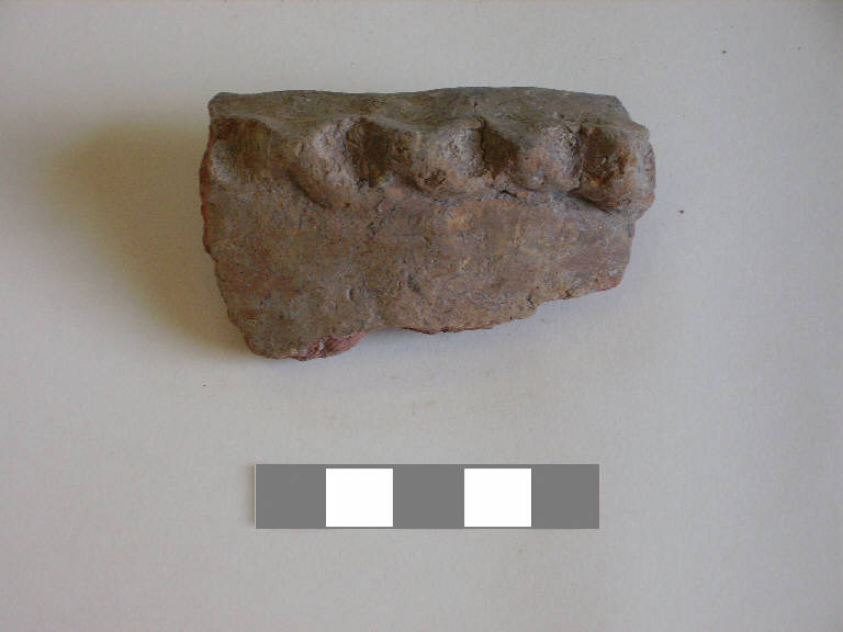 olla/ forma parzialmente ricostruibile - ambito paleoveneto (sec. VIII a.C.)