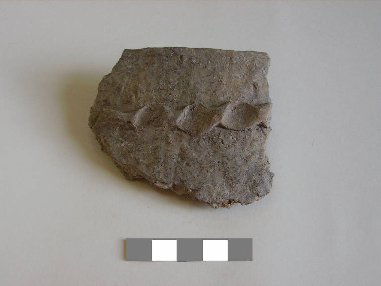 olla/ forma parzialmente ricostruibile - ambito paleoveneto (sec. VIII a.C.)
