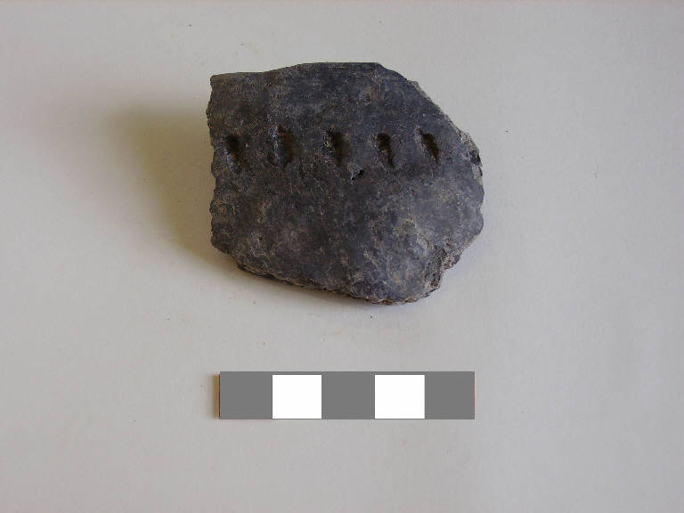 olla/ forma parzialmente ricostruibile - ambito paleoveneto (sec. VIII a.C.)