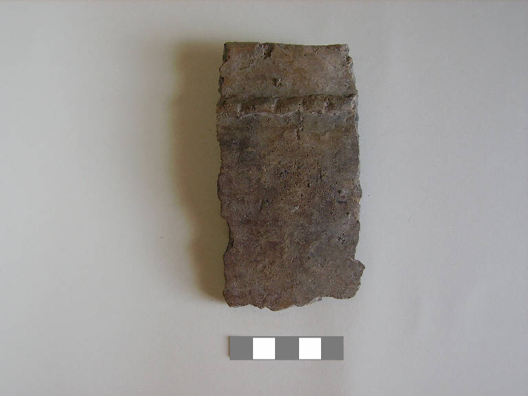 olla/ forma parzialmente ricostruibile - ambito paleoveneto (sec. VIII a.C.)