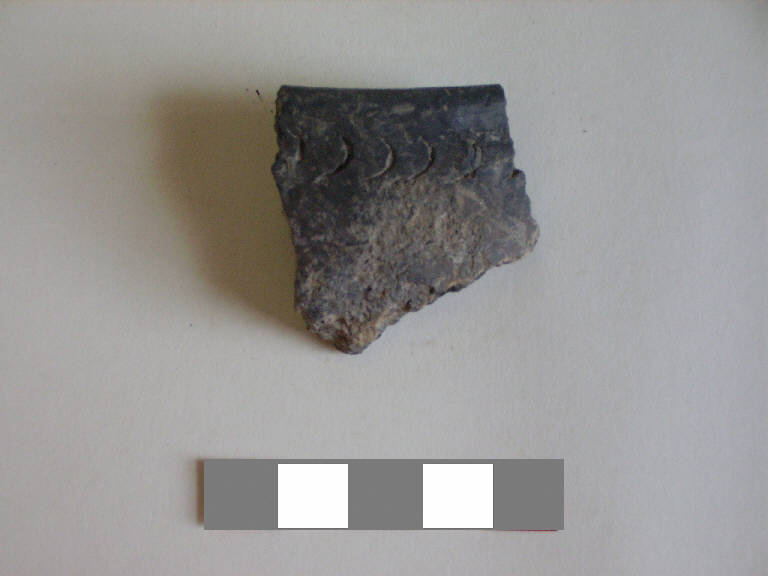 olla/ forma parzialmente ricostruibile - ambito paleoveneto (sec. VIII a.C.)