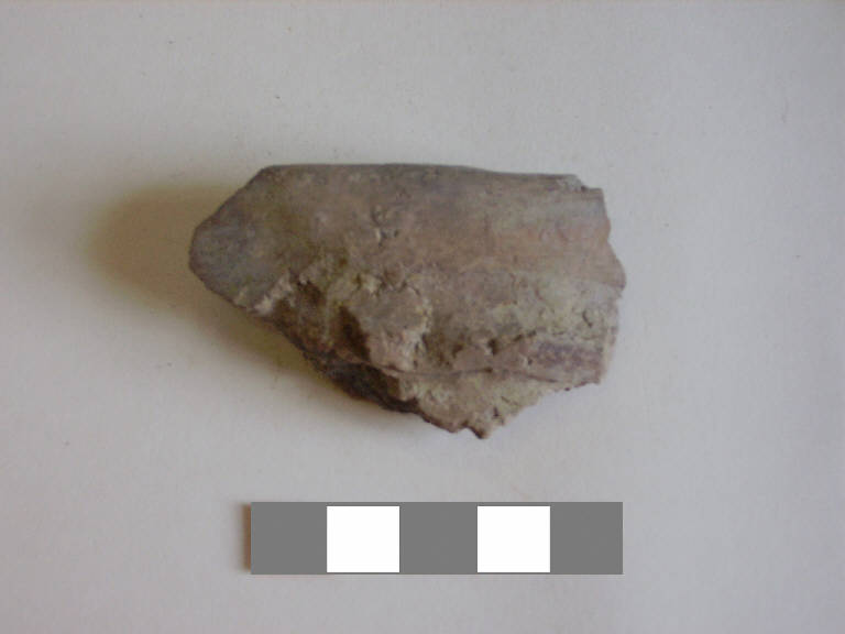 scodellone/ forma parzialmente ricostruibile - ambito paleoveneto (sec. VIII a.C.)