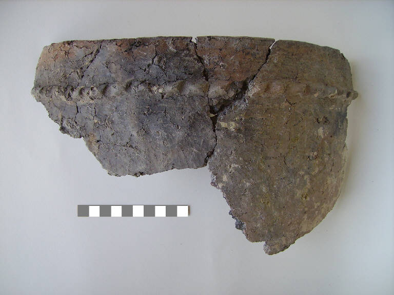 vaso troncoconico/forma parzialmente ricostruibile - ambito paleoveneto (sec. VIII a.C.)