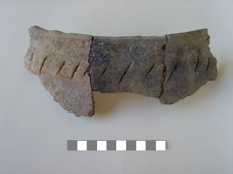 olla/ forma parzialmente ricostruibile - ambito paleoveneto (sec. VIII a.C.)