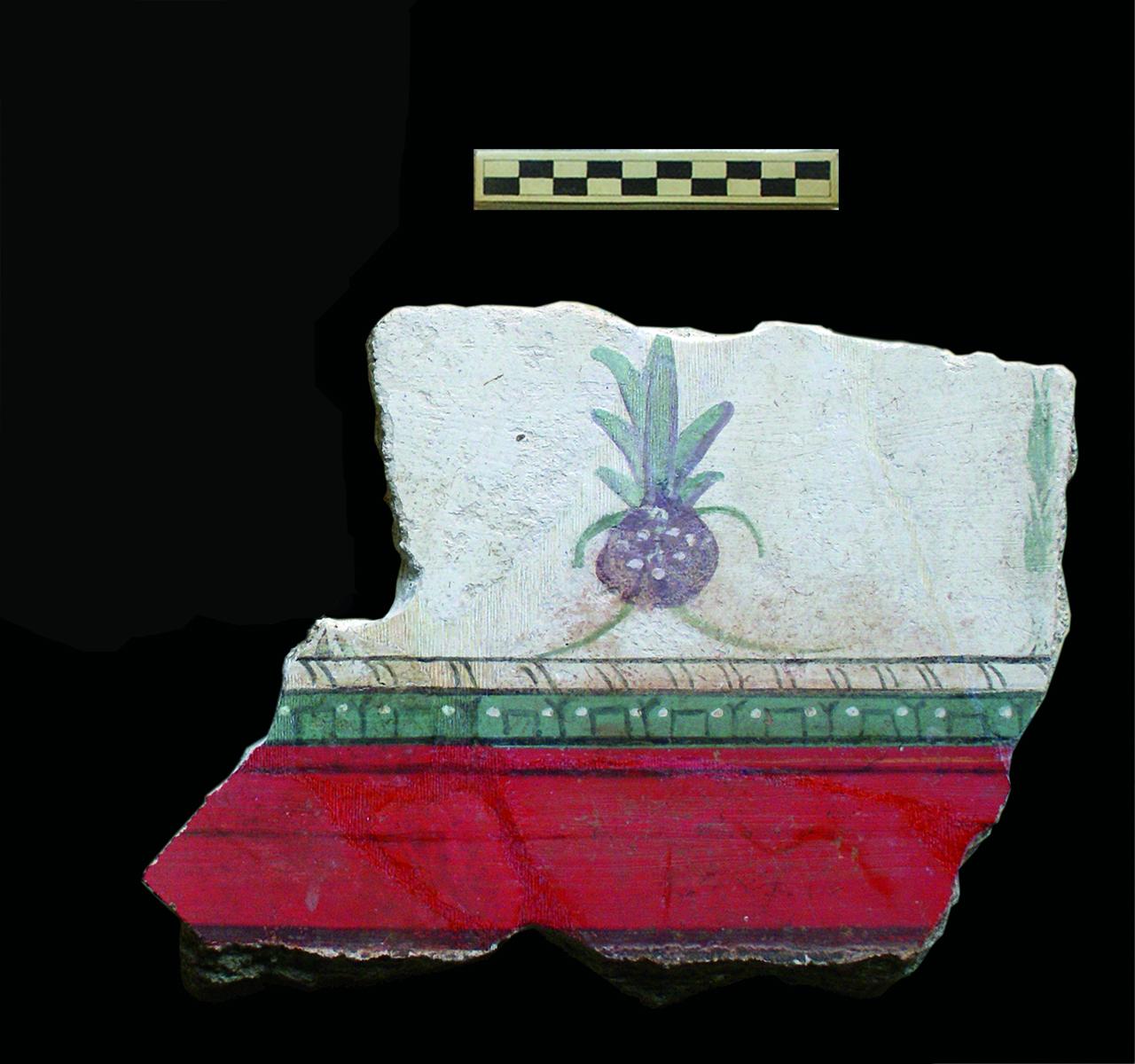 ananas (affresco) - età protoaugustea (ultimo quarto I a.C.)