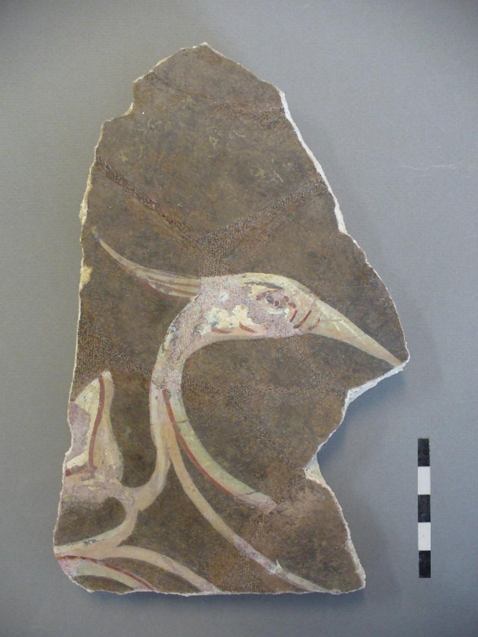 ibis (affresco) - età protoaugustea (ultimo quarto I a.C.)