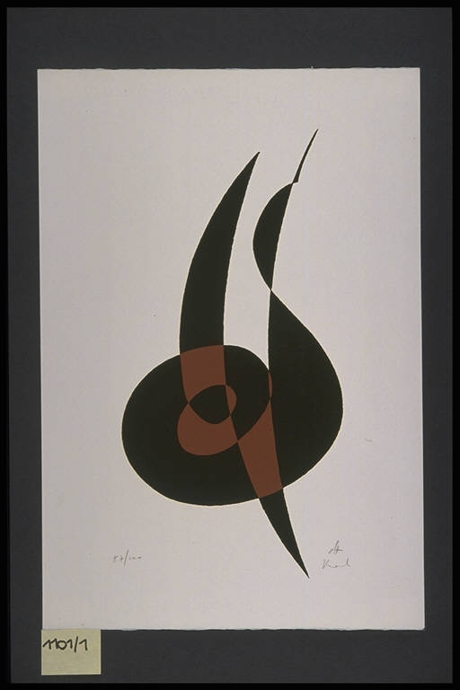 Curva di optimum di Pareto e curva di piega di Whitney, Modulazione di linee curve (dipinto) di Levi Montalcini Paola (terzo quarto sec. XX)