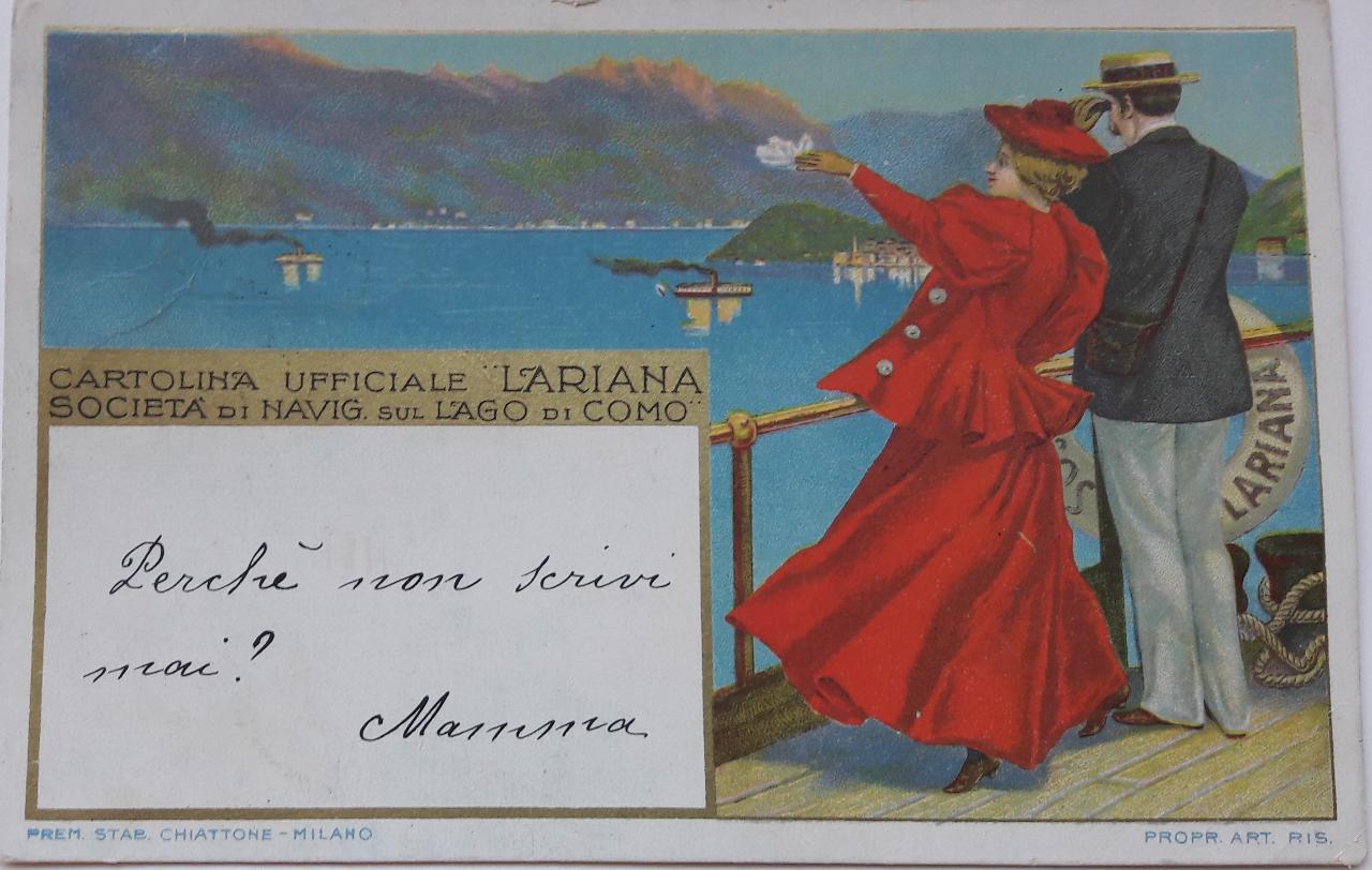 cane (disegno) di Vaccari, Alfredo (sec. XX)