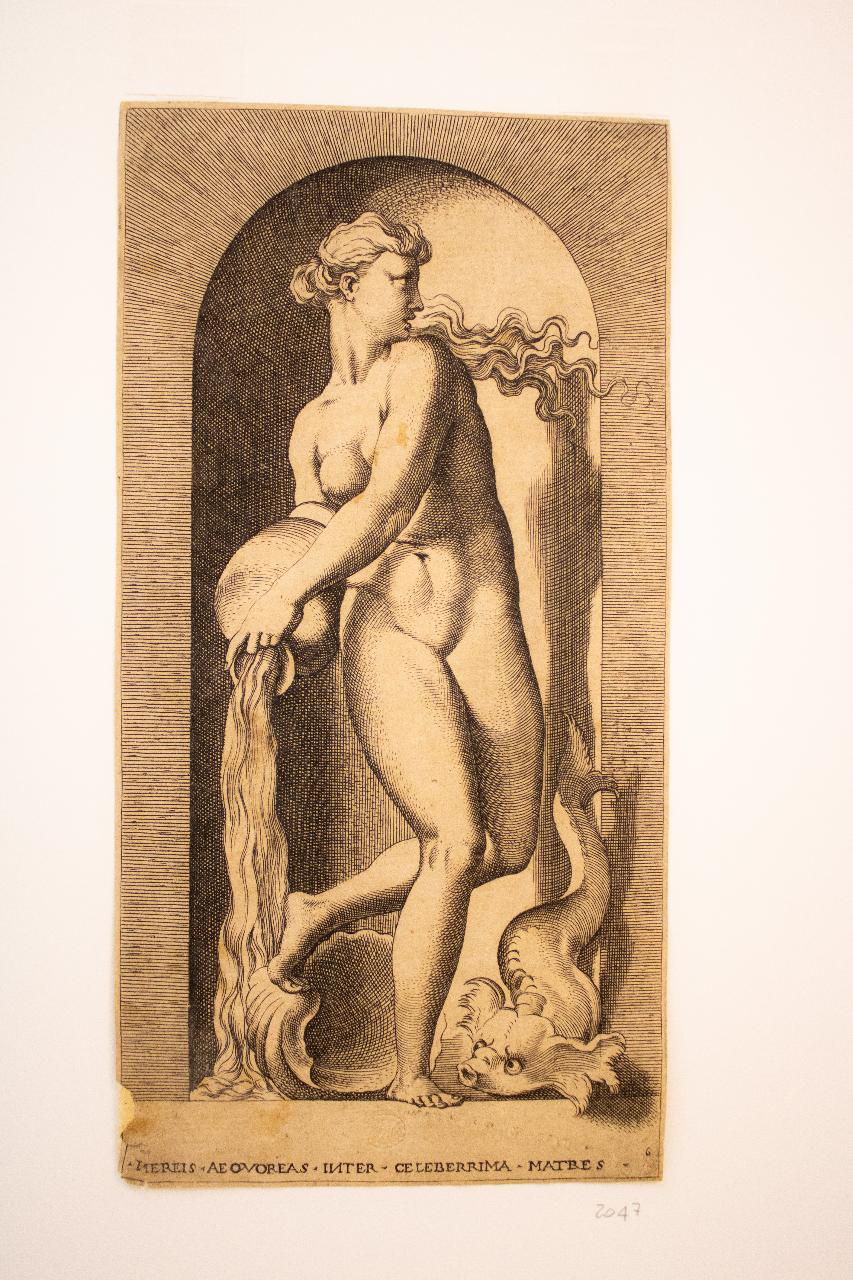 Vergine in gloria, Vergine in gloria (disegno) di Reni, Guido (maniera) - ambito bolognese (sec. XVII)
