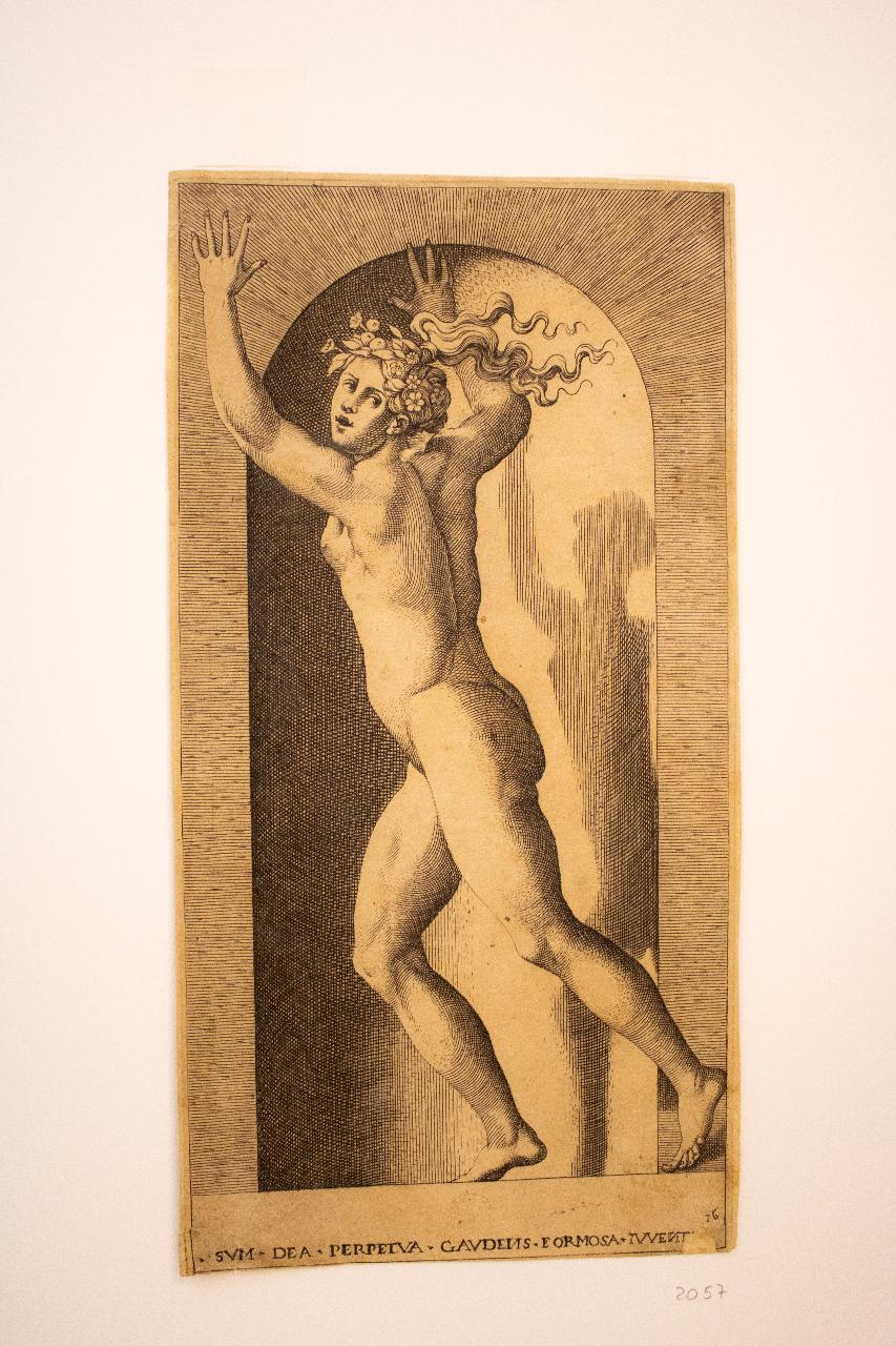 Madonna col Bambino, Madonna col Bambino (disegno) - ambito Italia centro-meridionale (fine/ inizio secc. XVII/ XVIII)
