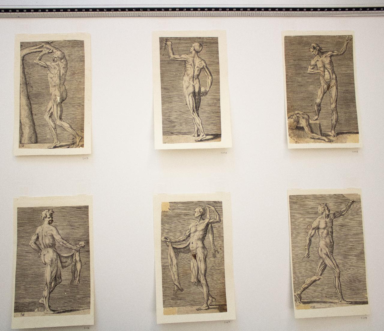 (R)Studi di cavalli e cavaliere; (V) Studio di Cavallo, (R)Studi di cavalli e cavaliere; (V) Studio di Cavallo (disegno) - ambito Italia settentrionale (sec. XIX)
