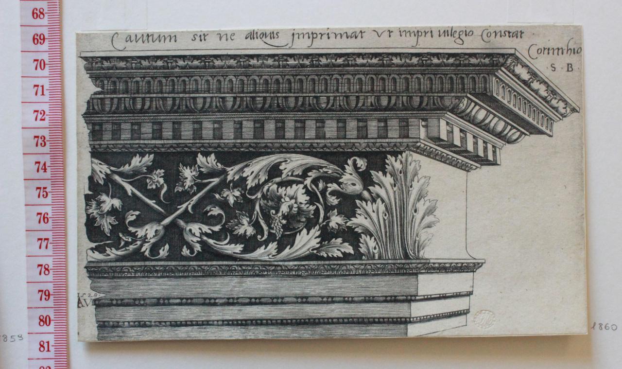 Testa di giovane, Testa di giovane (disegno) - ambito Italia settentrionale (prima metà sec. XIX)
