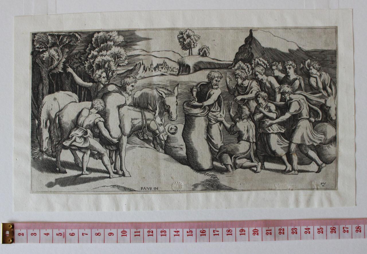 Studio per Madonna, Studio per Madonna (disegno) di Massacra, Pasquale (attribuito) (sec. XIX)