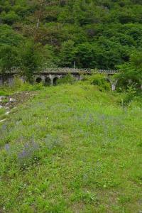 Ponte di S. Rocco (ruderi) (ponte) - Capo di Ponte (BS) 